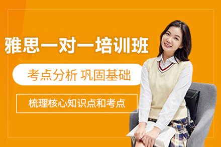 威海雅思一对一培训班