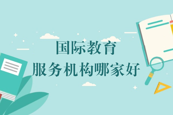 上海-上海国际教育服务机构哪家好-威学一百