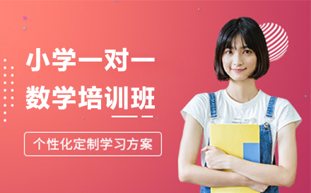 小学数学一对一培训班