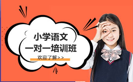 小学语文一对一培训班