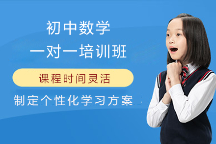 初中数学一对一培训班