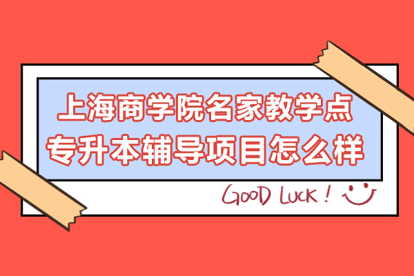 上海-上海商学院名家教学点专升本辅导项目怎么样