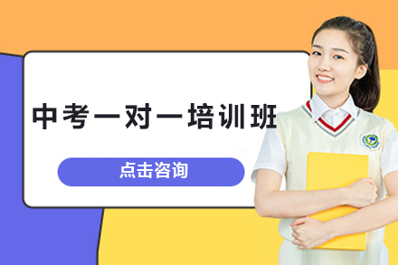 中考一对一培训班