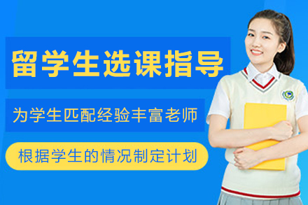 沈阳留学生选课指导辅导