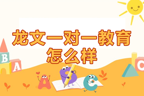 北京龙文一对一教育怎么样