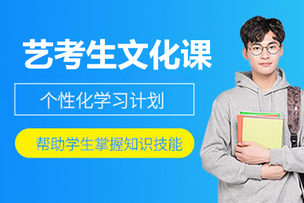 北京艺考生文化课辅导
