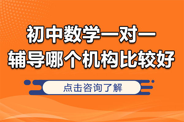 南京初中数学一对一辅导哪个机构比较好