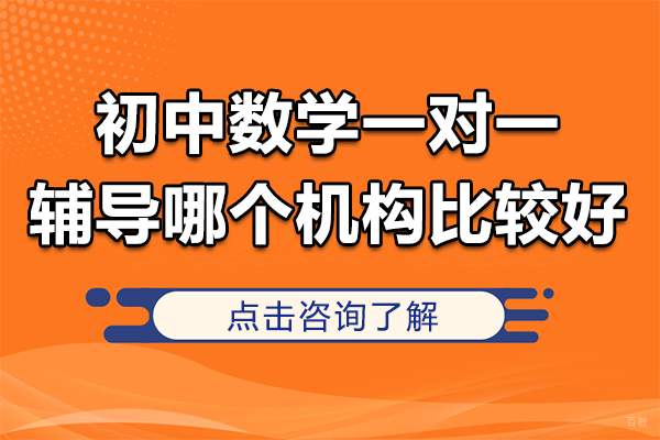 南京初中辅导-南京初中数学一对一辅导哪个机构比较好