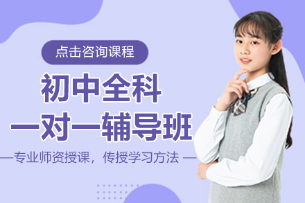 南京初中全科一对一辅导班