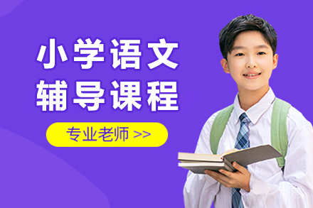 成都小学语文辅导课程