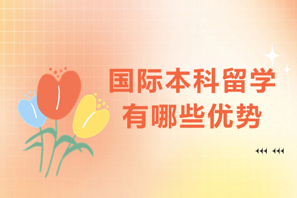 国际本科留学有哪些优势-国际本科学历有用吗