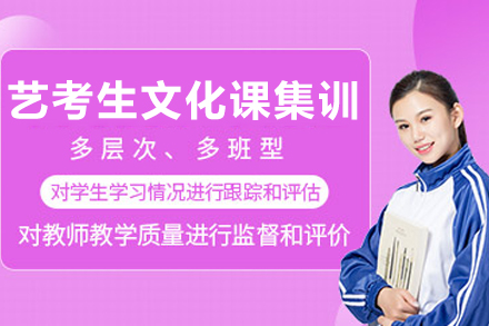 石家庄艺考生文化课集训班