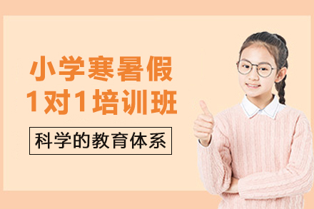 石家庄小学寒暑假1对1培训班