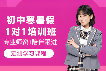 石家庄初中寒暑假1对1培训班