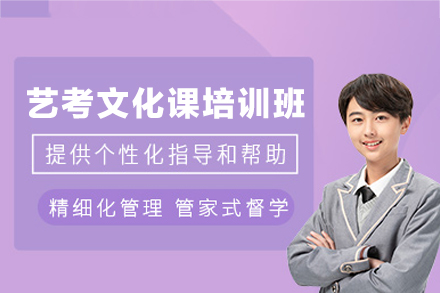 乌鲁木齐艺考文化课培训班