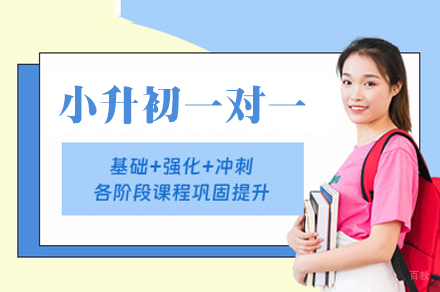 乌鲁木齐小升初一对一培训班