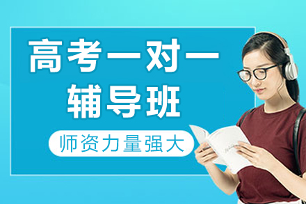 成都高考一对一辅导班