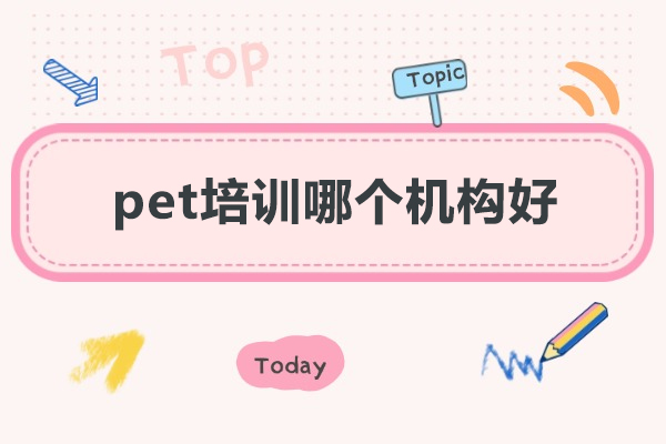 厦门pet培训哪个机构好