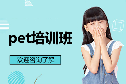 北京pet培训班