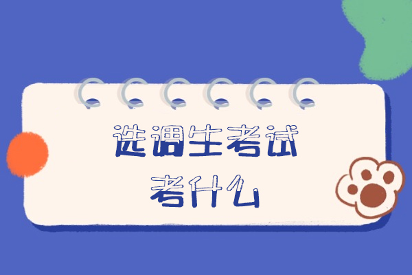 厦门选调生考试考什么