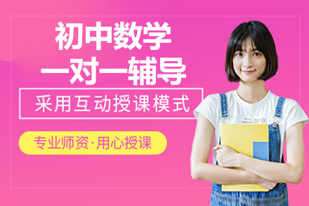 北京初中数学一对一辅导