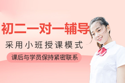 北京初二一对一辅导