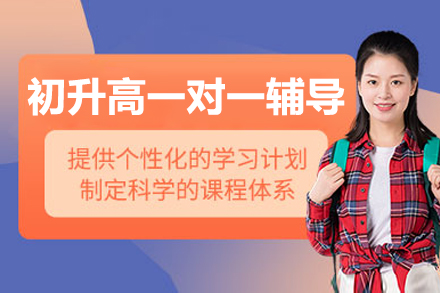 北京初升高一对一辅导