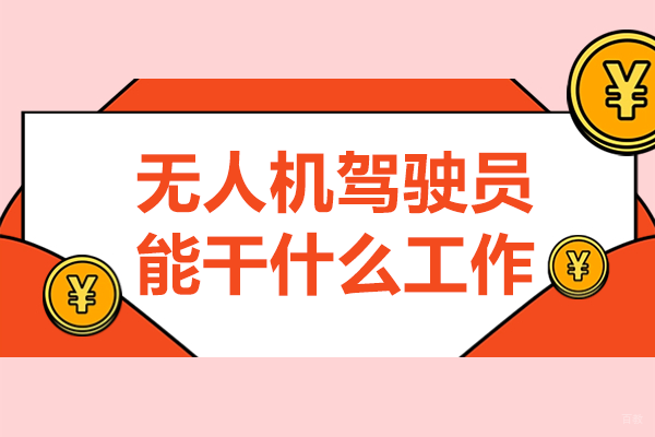 无人机驾驶员的职业蓝图:八大高薪方向深度解析