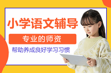 北京小学语文一对一辅导