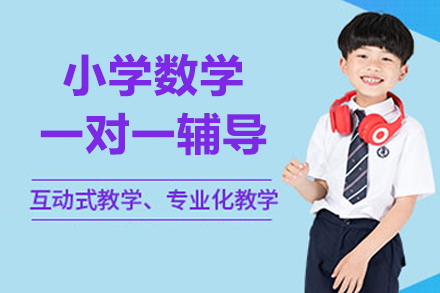 北京小学数学一对一辅导