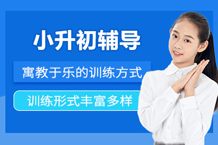 北京小升初一对一辅导