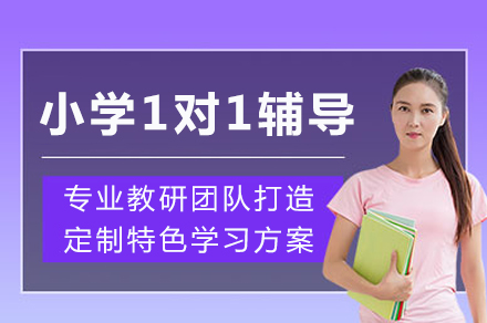 成都小学一对一辅导