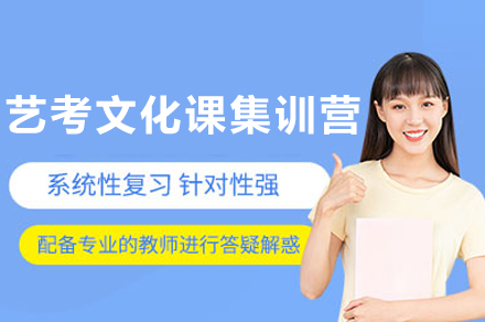 成都艺考文化课集训营