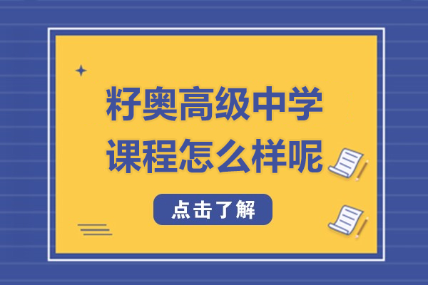 上海浦东新区民办籽奥高级中学课程怎么样呢
