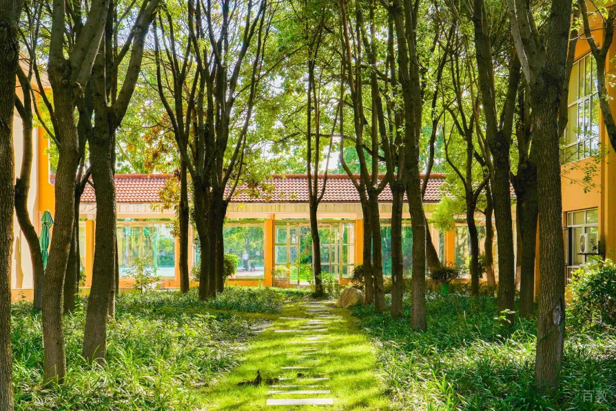 学校绿植环境相册