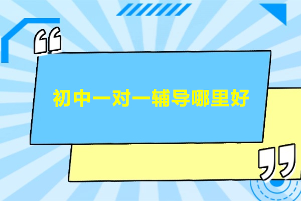 北京初中一对一辅导哪里好-巴仑思教育
