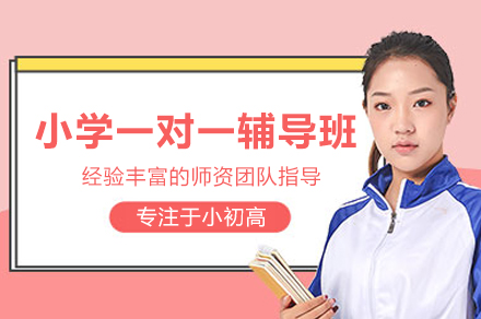 小学全科一对一辅导班