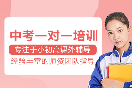 中考一对一培训班