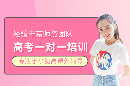 高考一对一培训班
