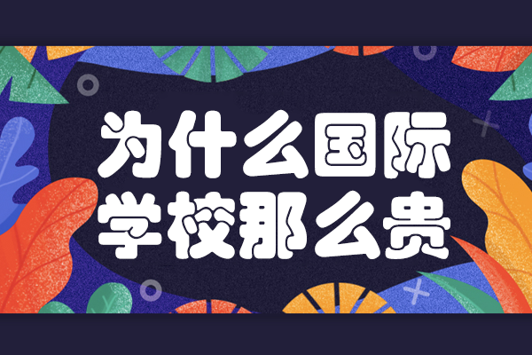揭秘上海籽奥国际高中教育价值与独特优势
