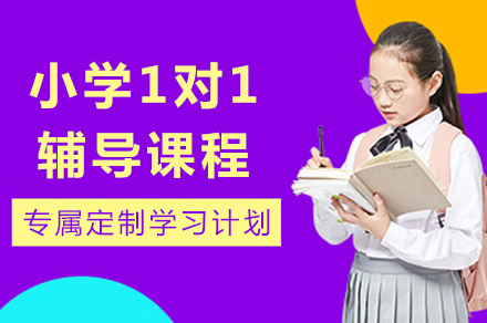 成都小学专属课程定制:一对一辅导全解析