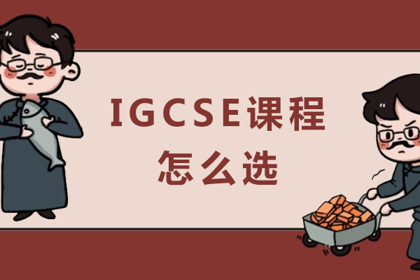 IGCSE选课与难度全解析:国际学生必修策略指南