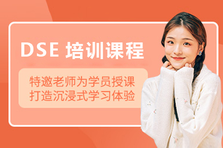 DSE培训班