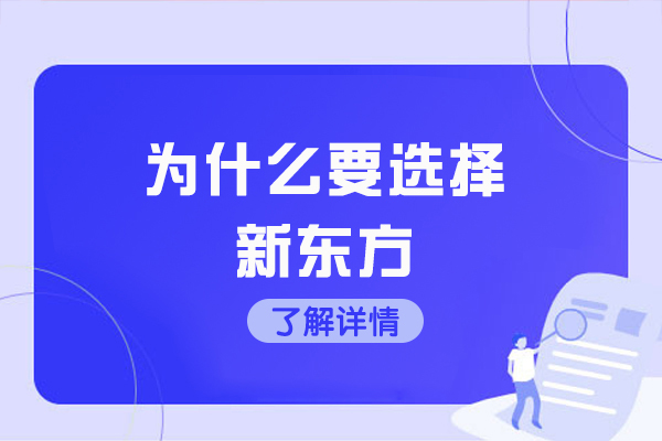 厦门考生必选新东方考研的独特价值解析