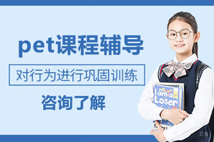 北京pet课程辅导
