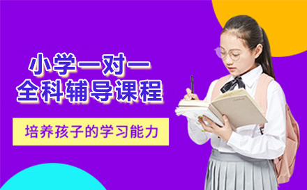 小学一对一全科辅导课程