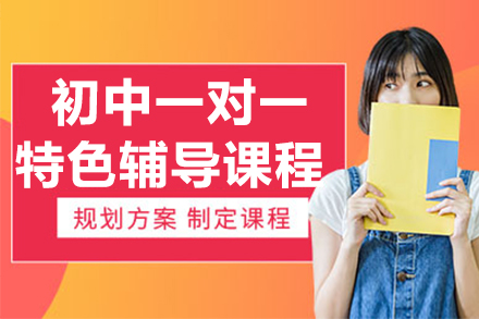 初中一对一特色辅导课程