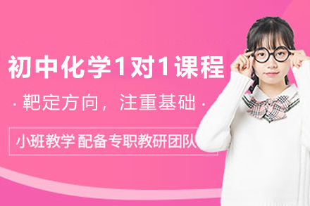 天津初中化学私人定制课:1对1辅导助你中考弯道超车