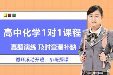 天津高中化学1对1辅导个性化训练方案