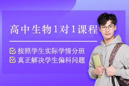 天津高中生物定制化辅导:高效提分一对一解决方案